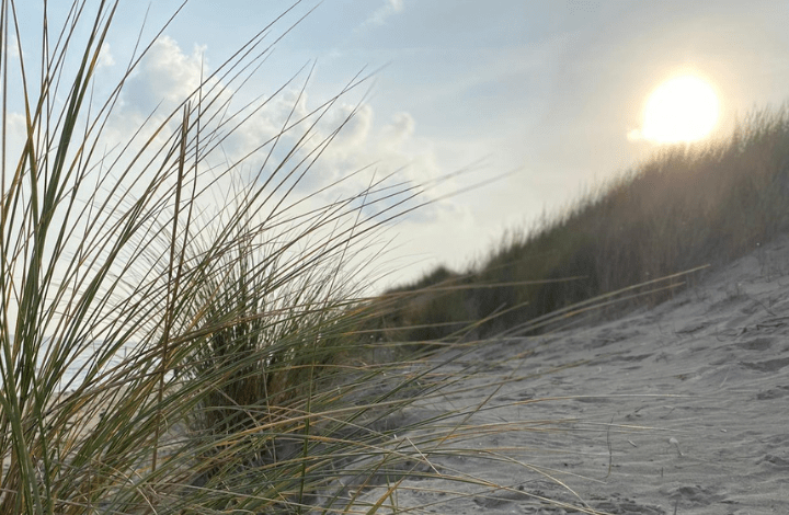 Regie over jouw toekomst; Pensioen & Financial Life Planning