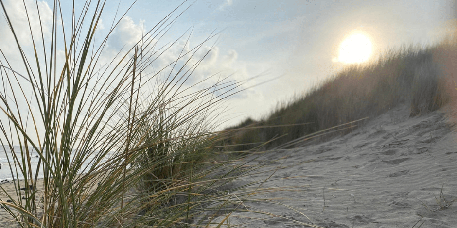 Regie over jouw toekomst; Pensioen & Financial Life Planning